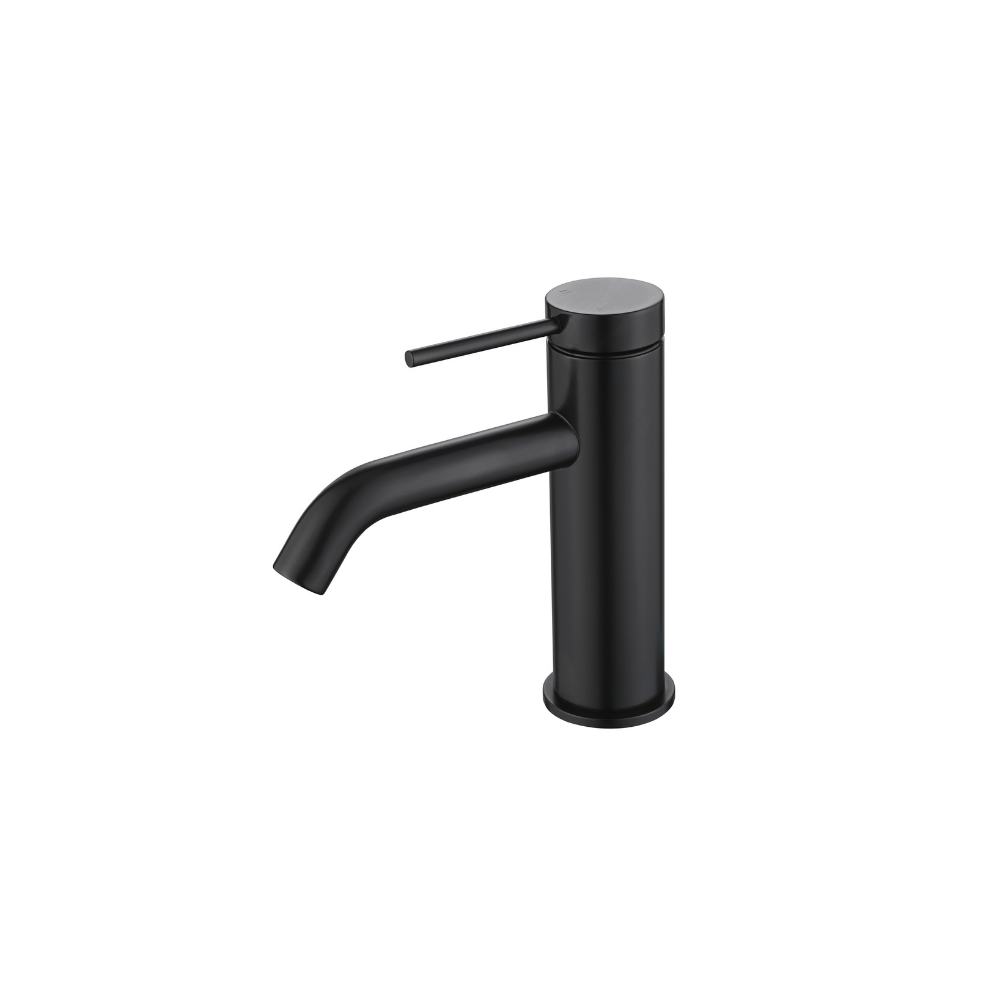 Riva SS Basin Mixer Tap with Curved Spout - Carbon