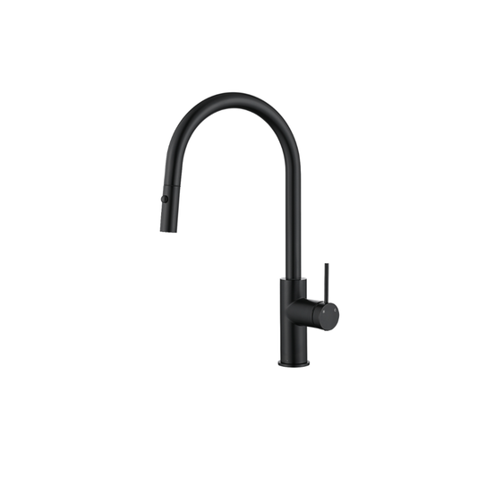 Riva SS Gooseneck Sink Mixer with Pull Out Spray - Carbon