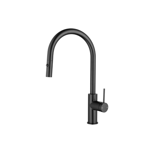 Riva SS Gooseneck Sink Mixer with Pull Out Spray - Carbon